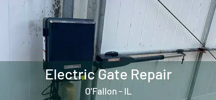 Electric Gate Repair O'Fallon - IL