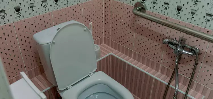 Meeting Diverse Needs With Accessible Restroom Solutions in O'Fallon, IL