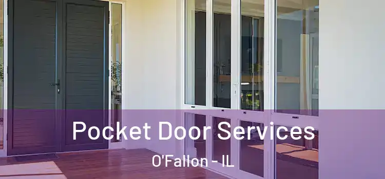 Pocket Door Services O'Fallon - IL